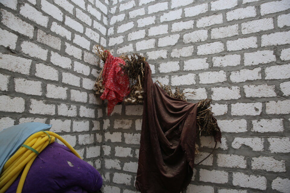 Thumbnail for أنشطة مشروع التنمية الريفية المصري، إيراث في المنيا