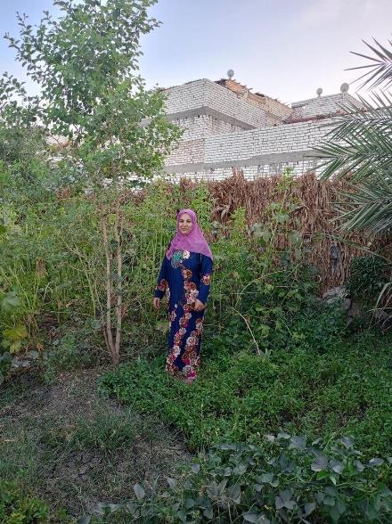 Thumbnail for برنامج التنمية البيئية